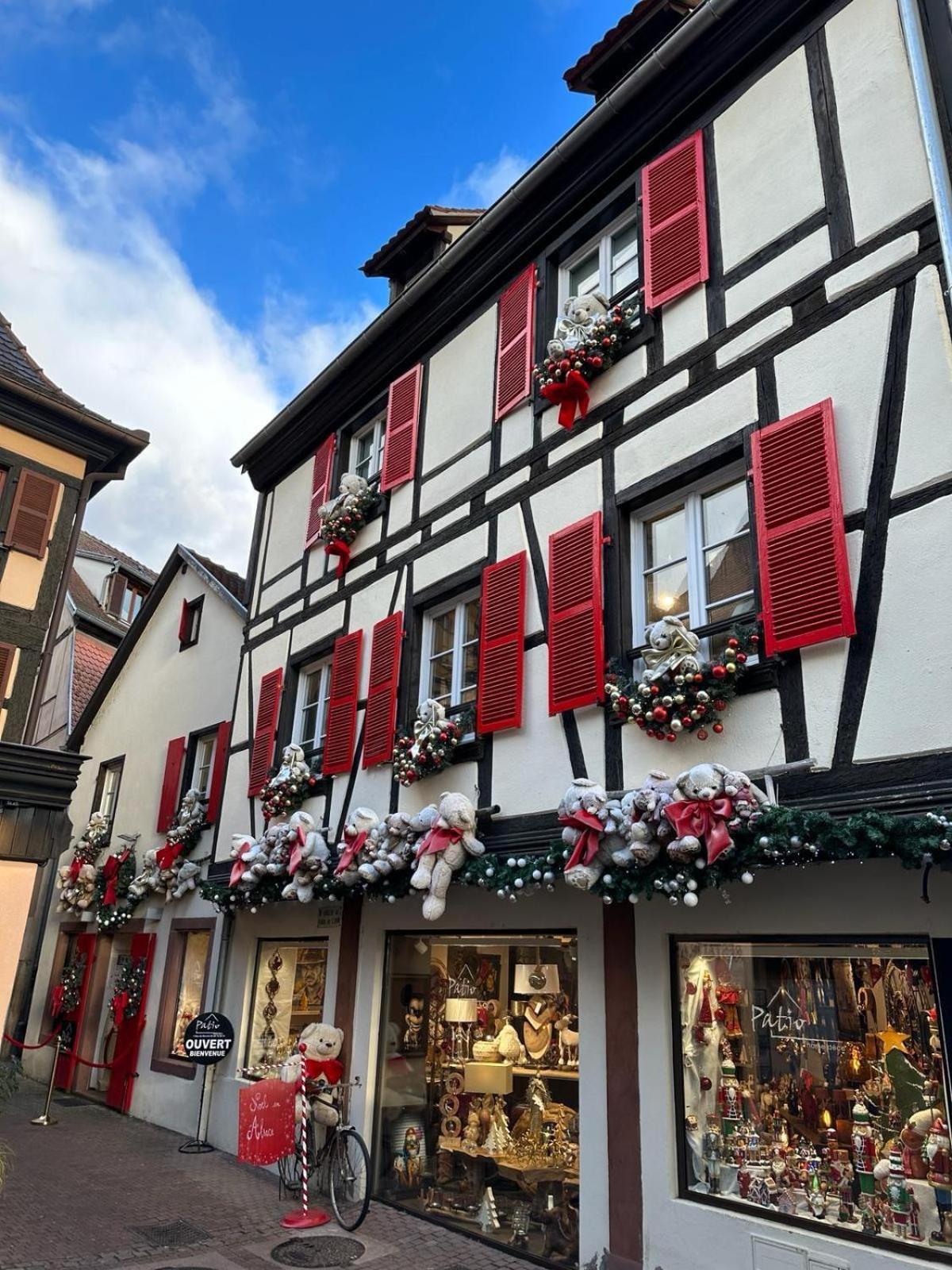 Bienvenue Au Coeur D Alsace-Centre Obernai -3 Etoiles -公寓 外观 照片